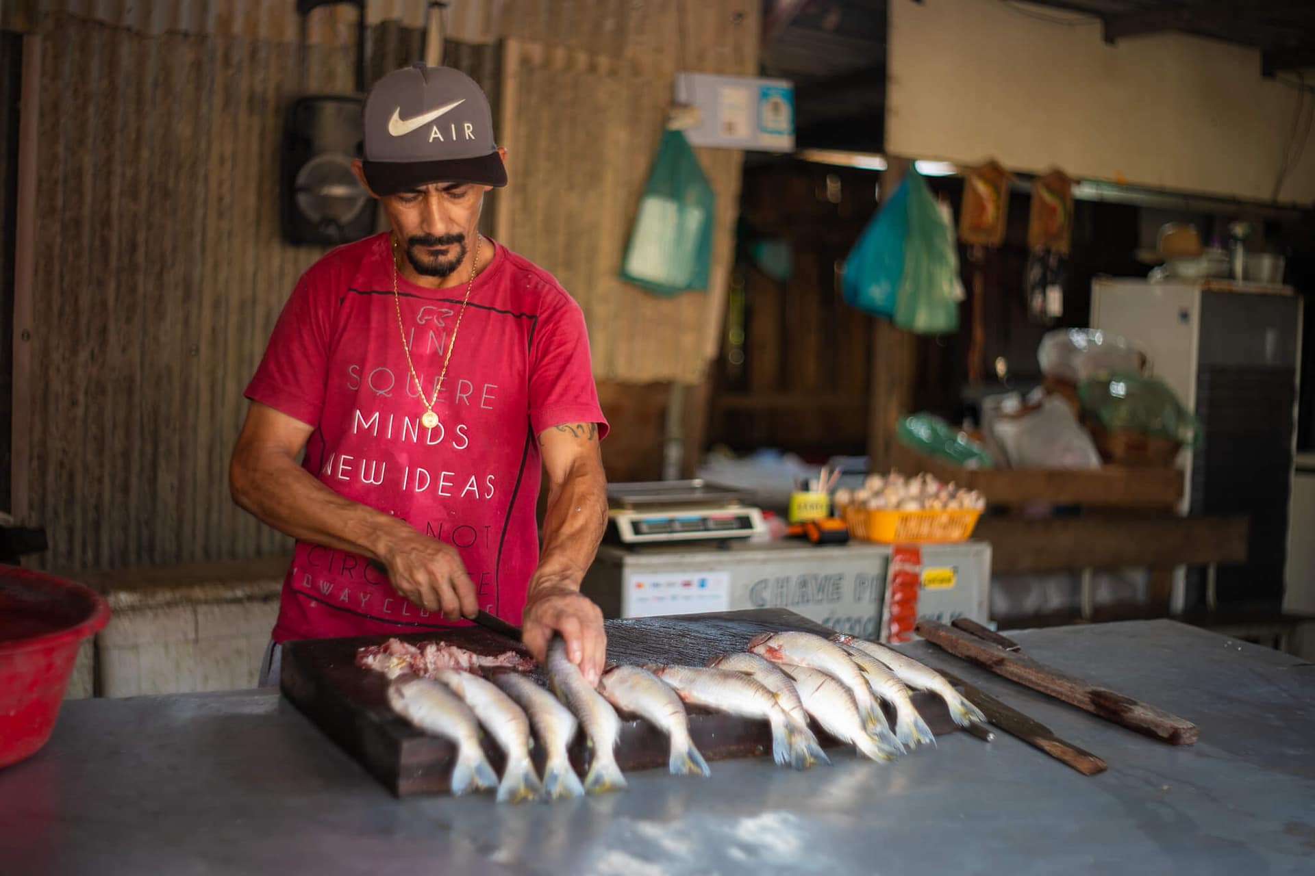 INSTITUTOWITOTO_DIARIA5_ALTA-26